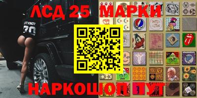 мяу мяу мука Будённовск